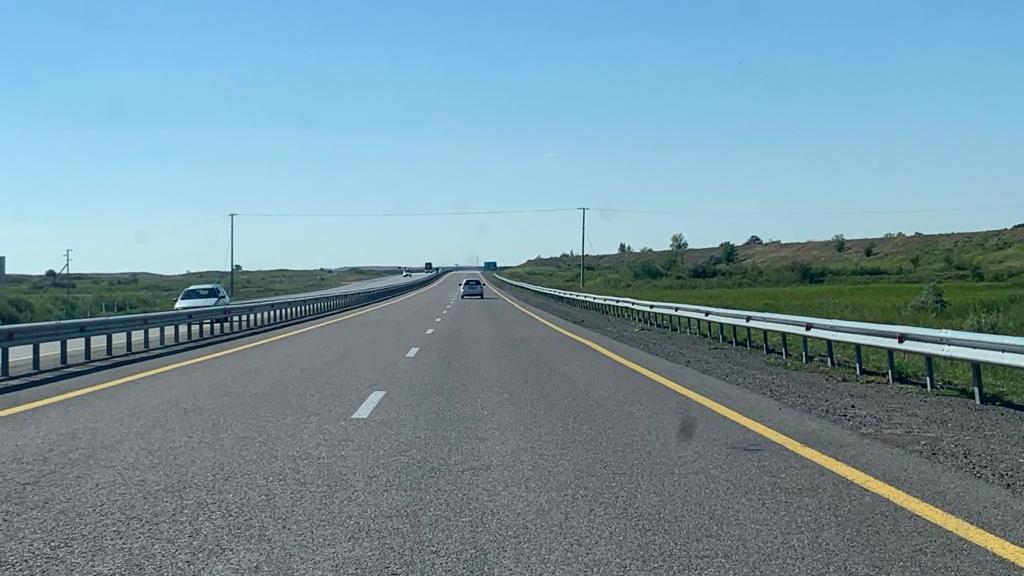 Көзілдірік киген киска бейне