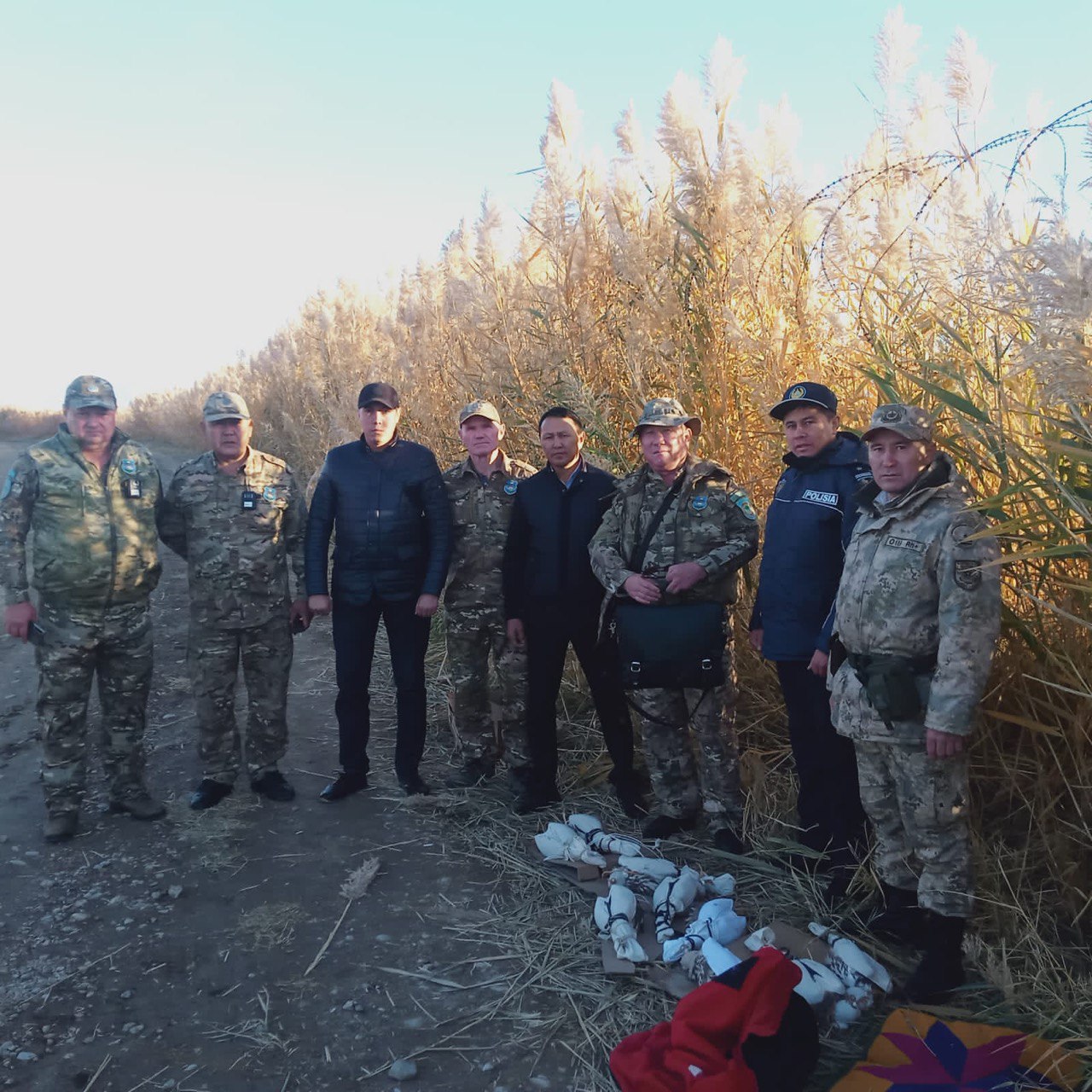 Пресечена попытка вывоза соколов-балобанов