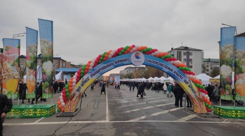 Солтүстік Қазақстан облысында ауыл шаруашылығы жәрмеңкесі өтті