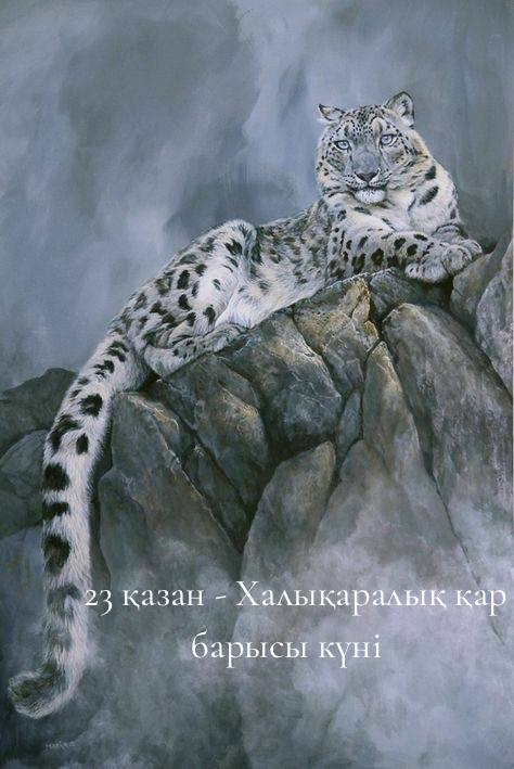 23 қазан-Халықаралық қар барысы күні