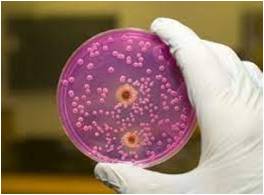 Гимнастикалық трусики фотосы Қара жігітті əйелдер сиқыған