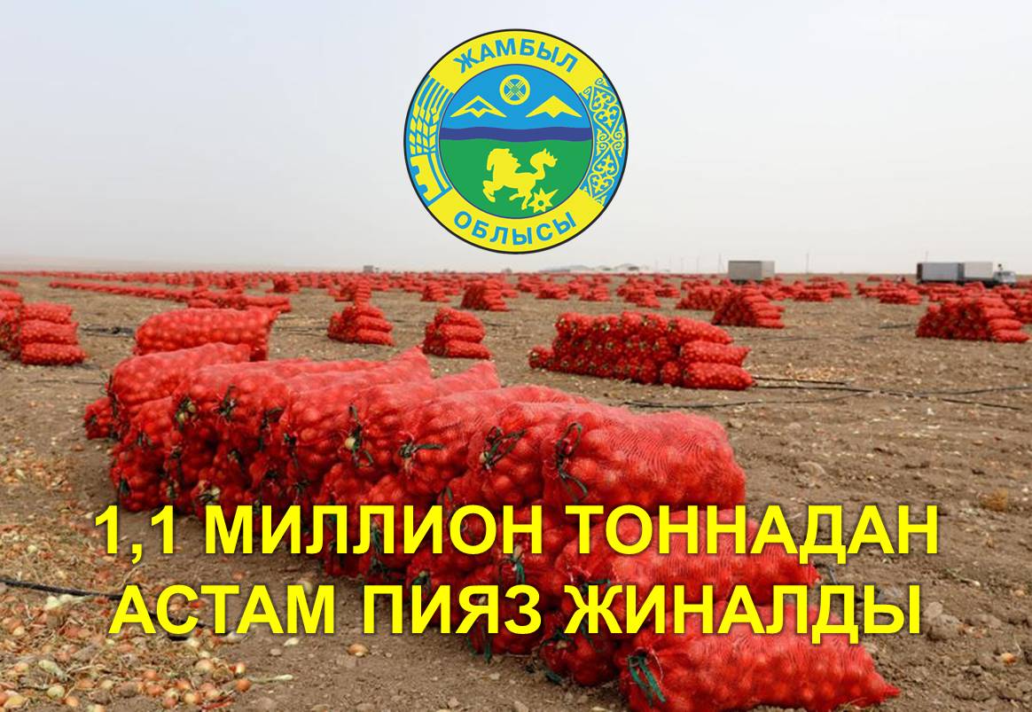 1,1 миллион тоннадан астам пияз жиналды