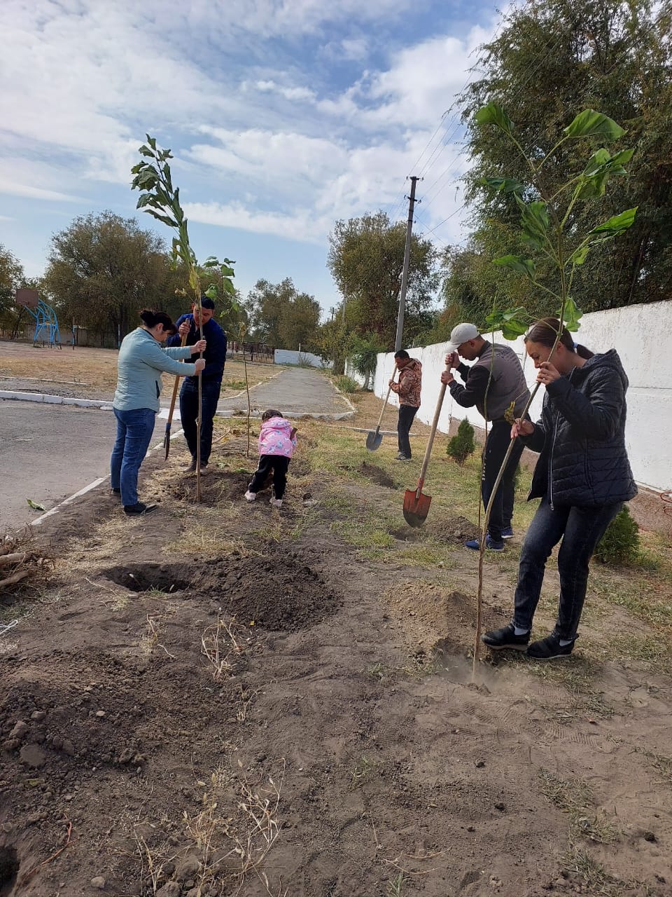 Autumn planting of seedlings was carried out in the Zarechny rural district.