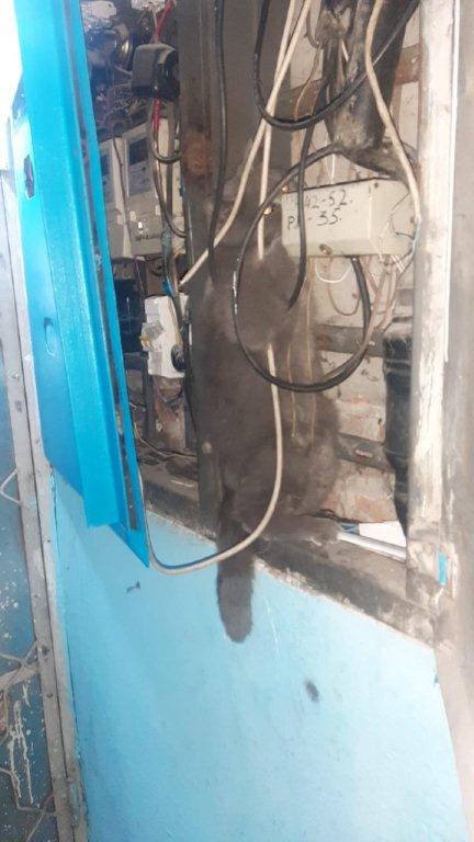 Анал секстегі аналардың порно видеолары