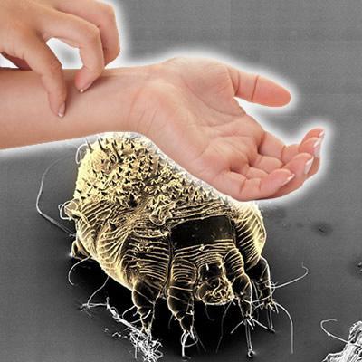 Долихосигмасы бар анальды секс