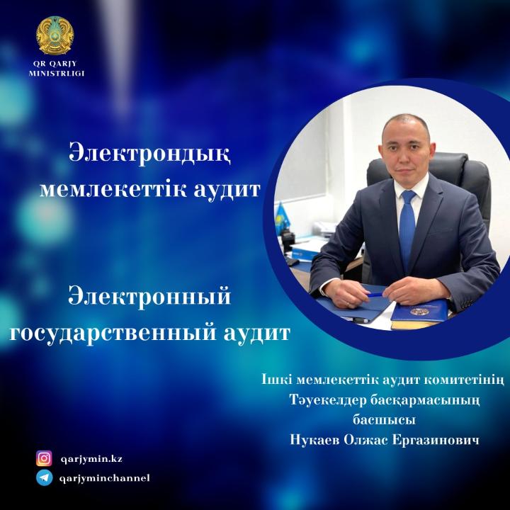 Интервью: "Электронный государственный аудит"