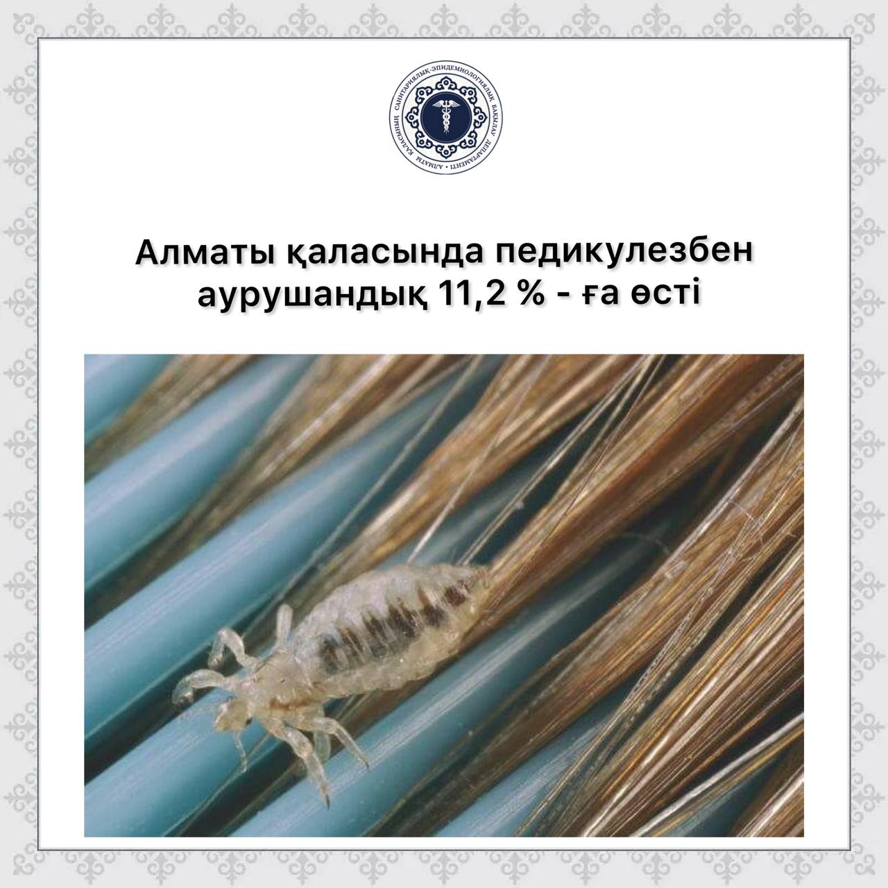 Өздігінен минет позициясы