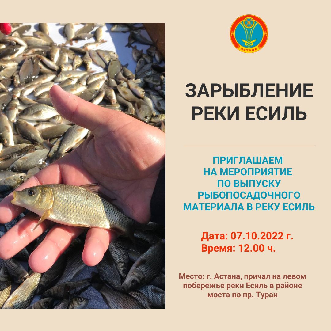 Поярдка 200 тысяч рыб выпустят в реку Есиль в столице