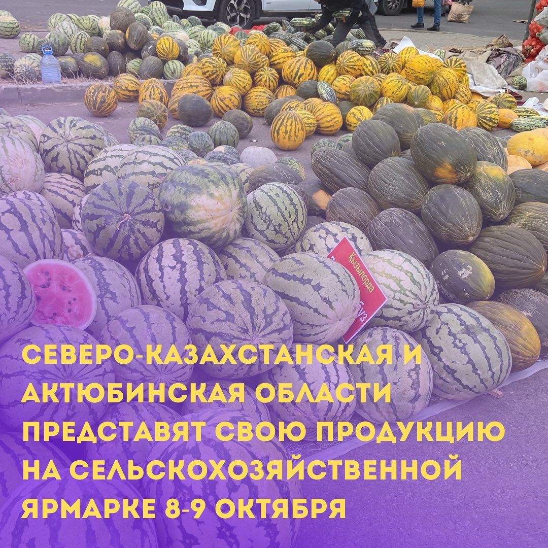 Северо-Казахстанская и Актюбинская области представят свою продукцию на ярмарке в столице