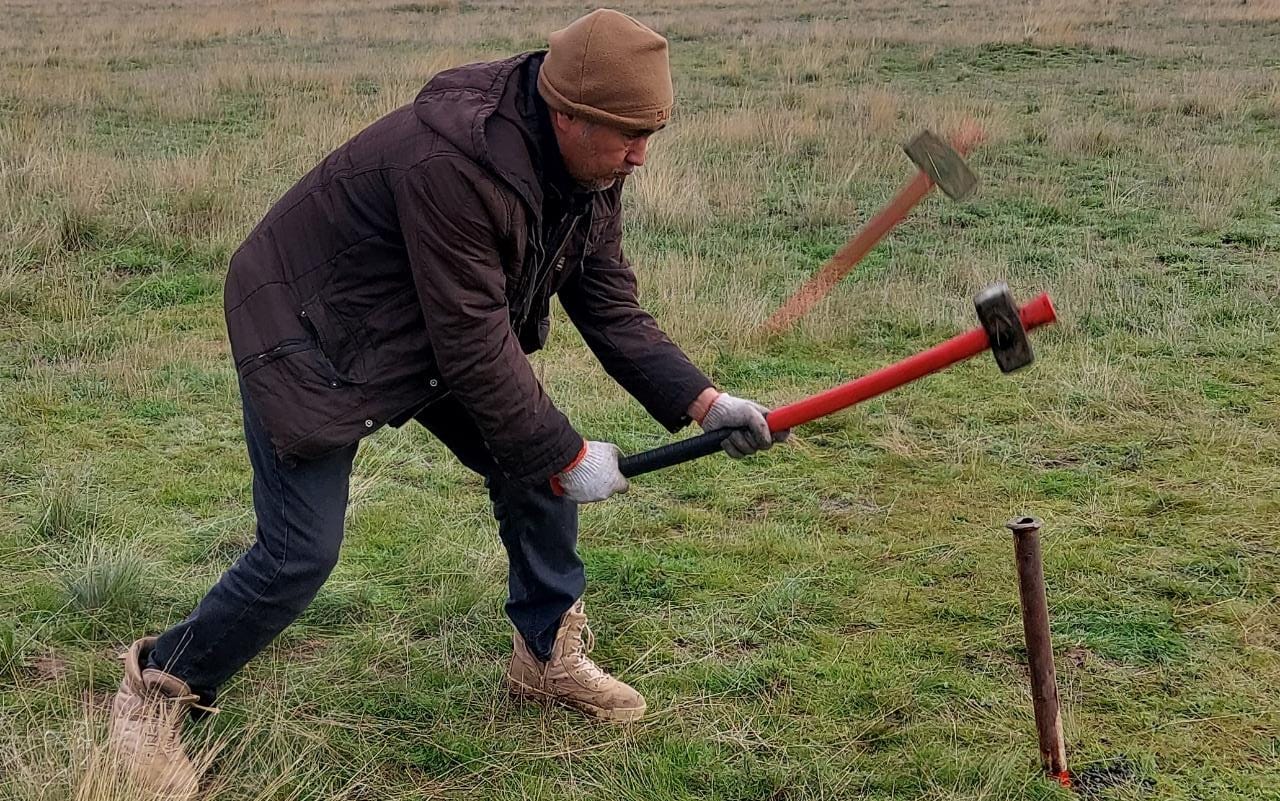 Жыныстық балға Жыныстық балға