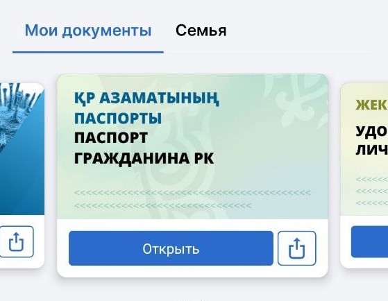 Digital passport available in the eGov Mobile app