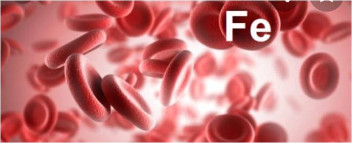 Анемия-аурудың пайда болу себептері, белгілері.