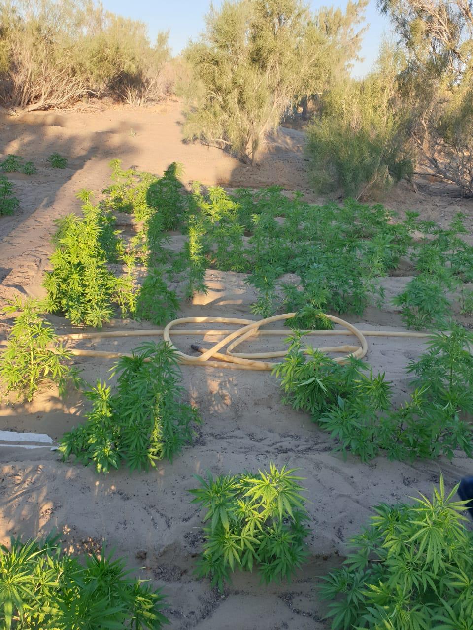 Аяқтағы фетиш порно видео 720HD Үлкен жопа порно