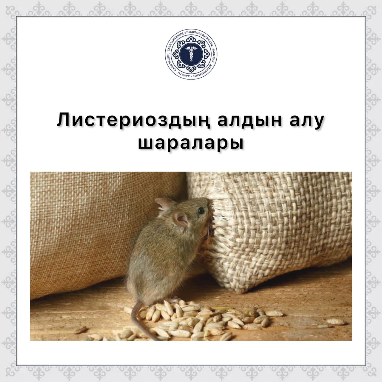 Листериоздың алдын алу шаралары