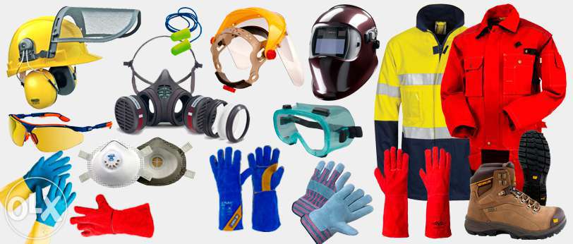 сперматозоидтардағы кеуделер