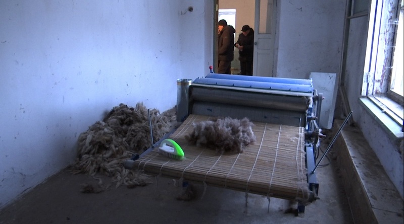 Ең әдемі мүше