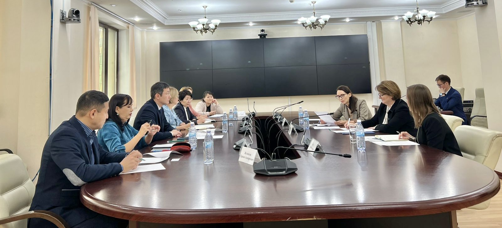 Т.Султангазиев провел встречу с Послом Великобритании по вопросам поставок вакцин