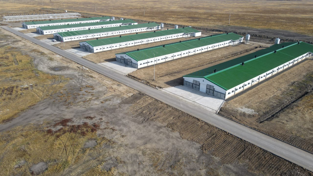 Новая птицефабрика стоимостью 5 млрд тенге заработала в Казахстане