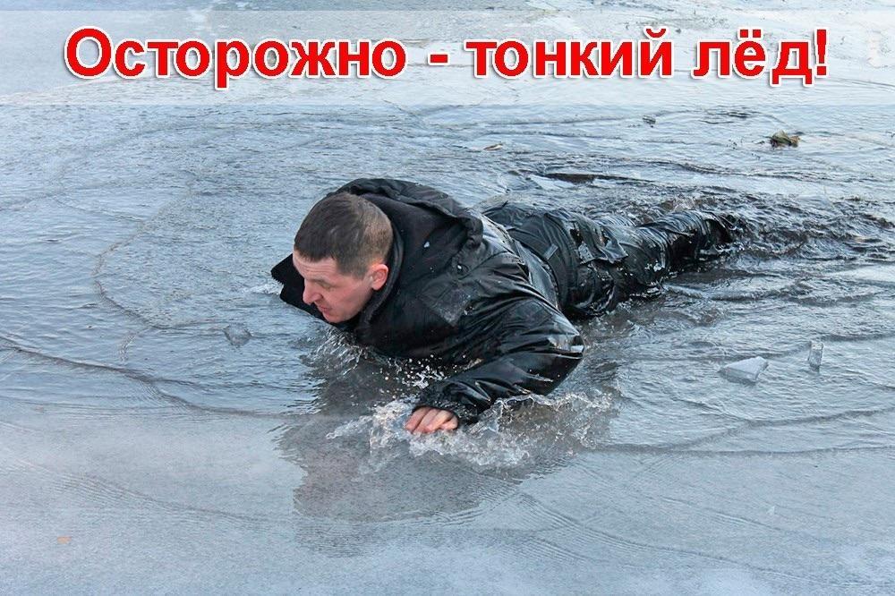 Жалаңаш қоңыр көзді аққұба фото Жалаңаш қоңыр көзді аққұба фото