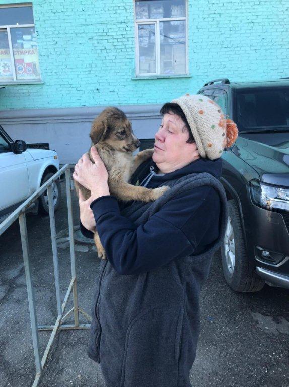 Застрявшего между контейнерами щенка извлекли спасатели ВКО