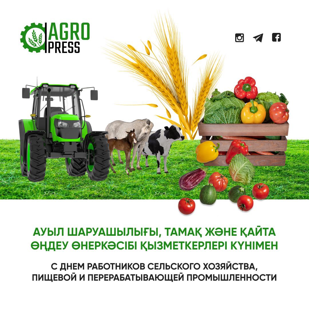 Казахстан празднует День работников сельского хозяйства, пищевой и перерабатывающей промышленности