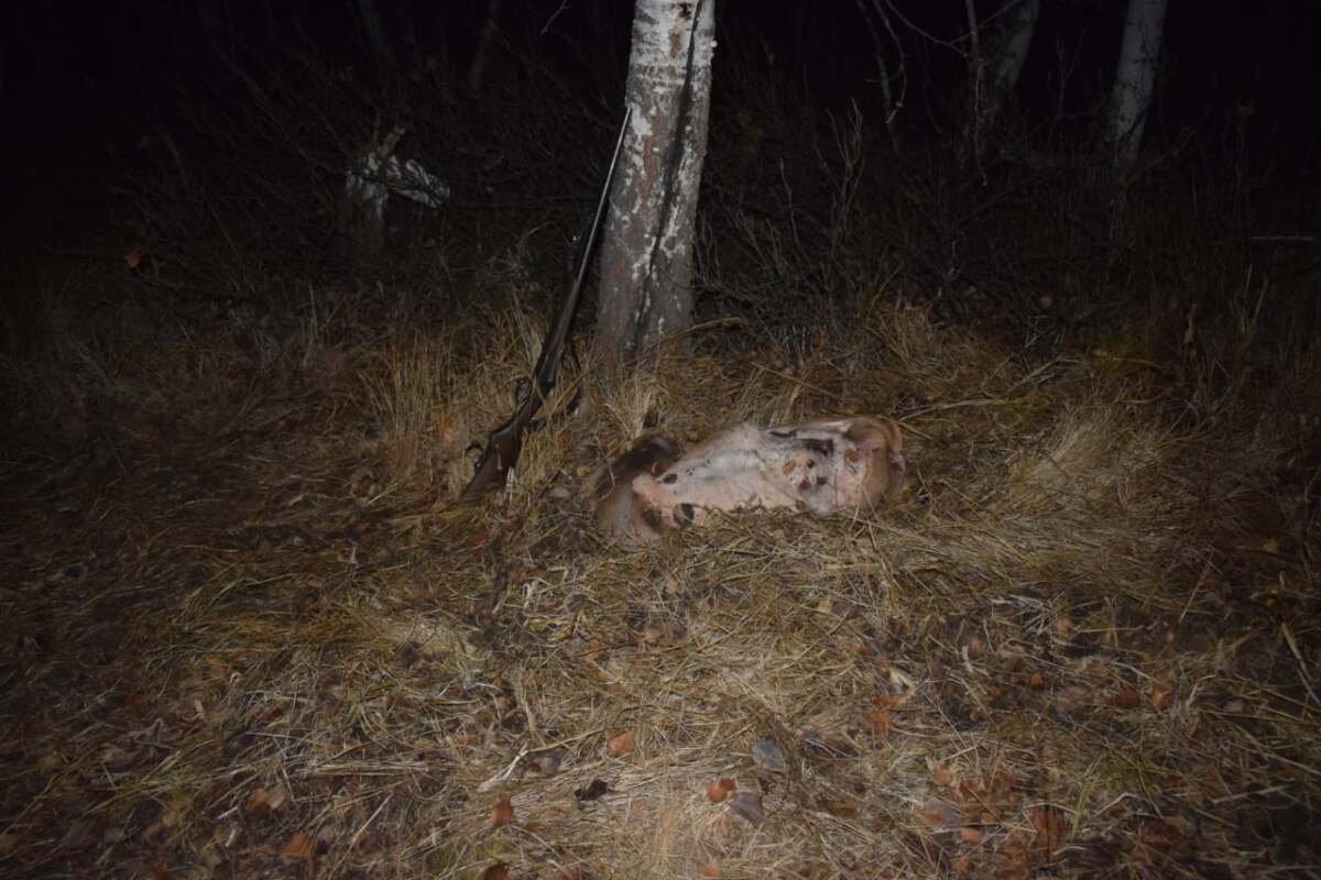 Порно полицейлер қыздарды сиқырлайды