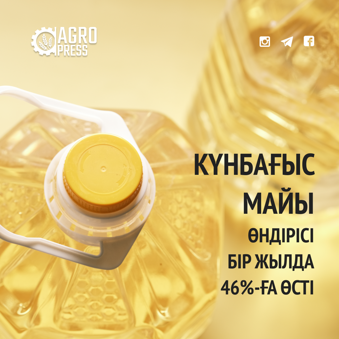 Күнбағыс майы өндірісі бір жылда 46%-ға өсті