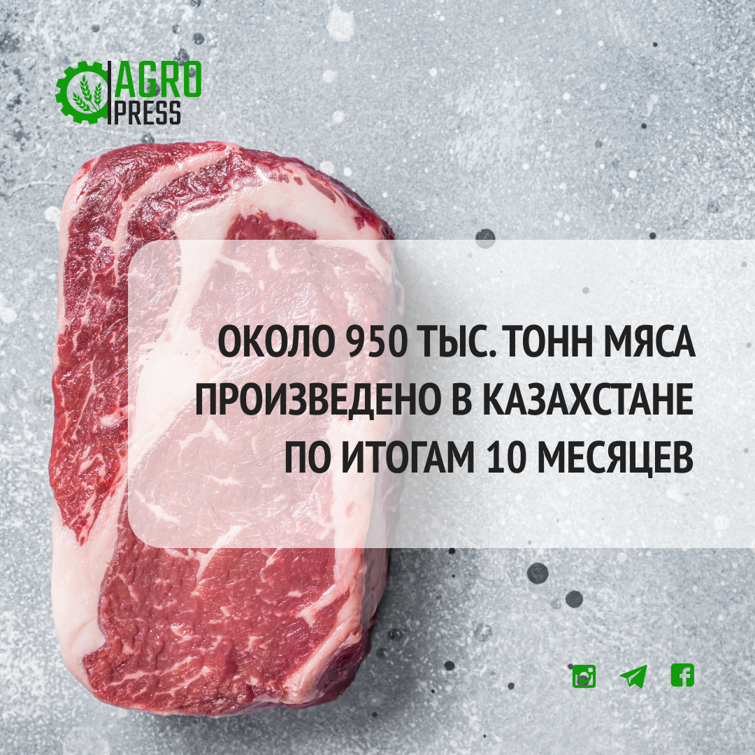 Около 950 тыс. тонн мяса произведено в Казахстане по итогам 10 месяцев