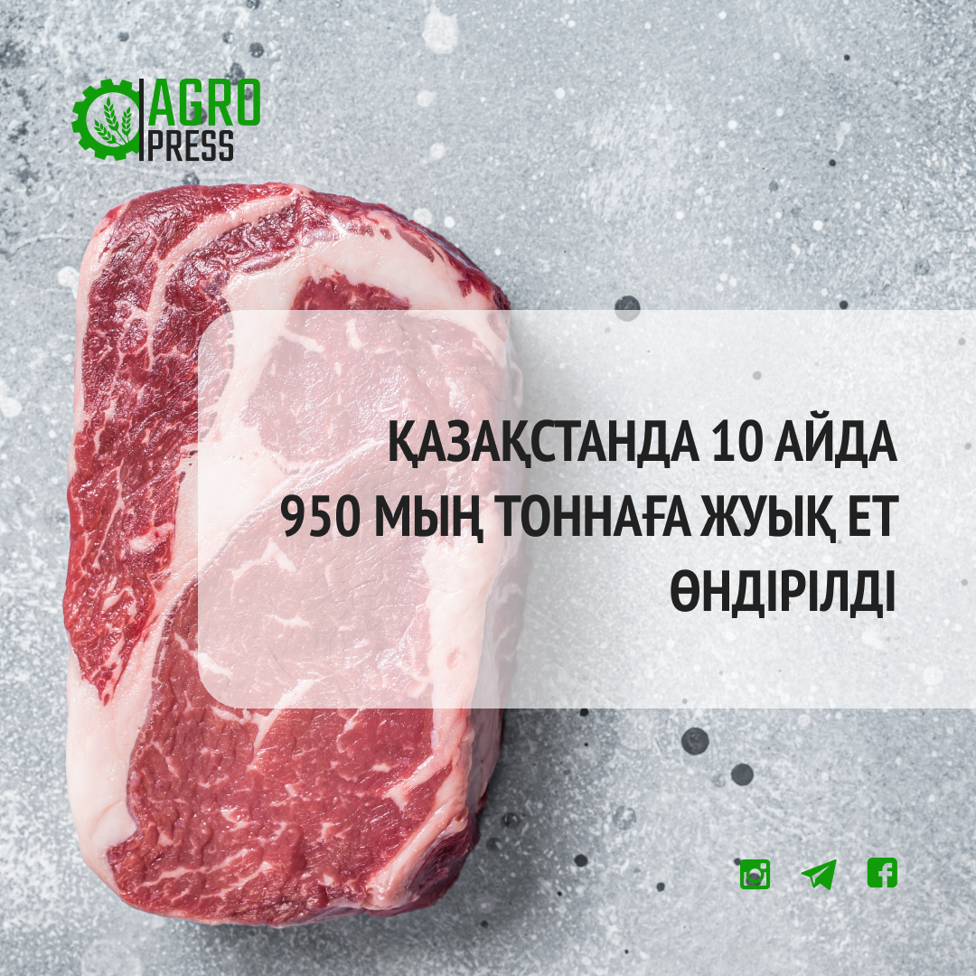 Қазақстанда 10 айда 950 мың тоннаға жуық ет өндірілді