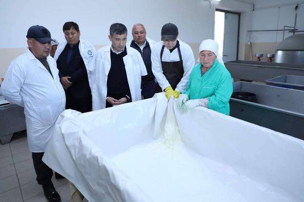 ТУРКЕСТАН: ПРЕДПРИЯТИЕ В САРЫАГАШЕ ПЕРЕРАБАТЫВАЕТ 20 ТОНН МОЛОКА В СУТКИ