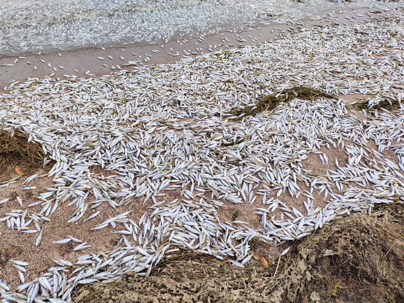 Мас орыс әйелінің порно фотосуреті