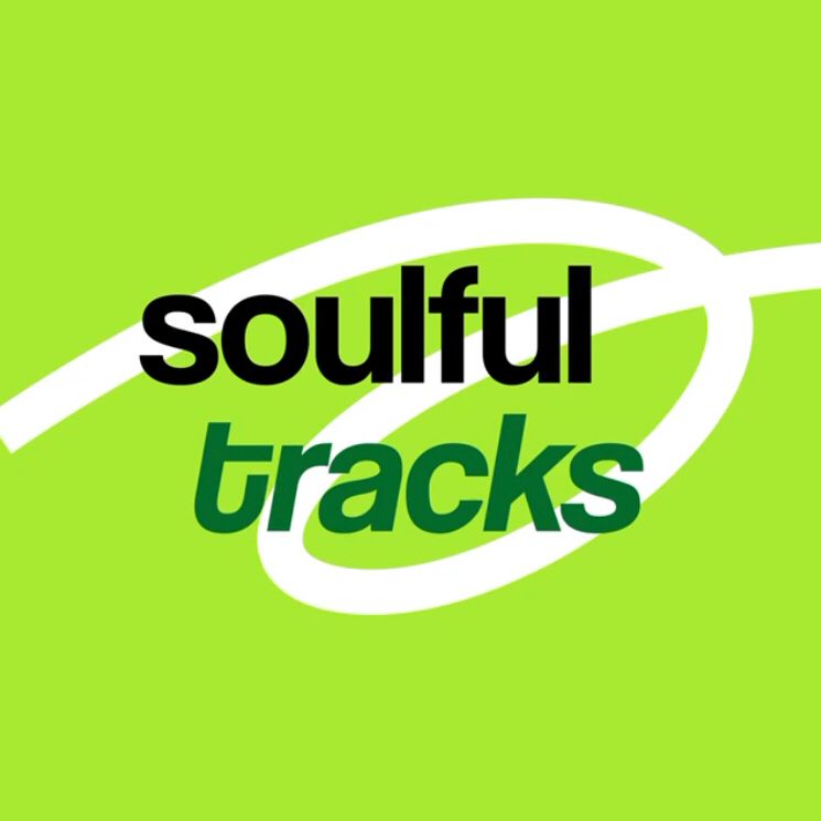 Проект в формате «медленного телевидения» покажет природу Казахстана по-новому