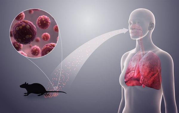 Клитордағы қауырсынмен