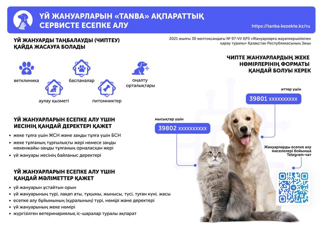 Баку секс әйелдер