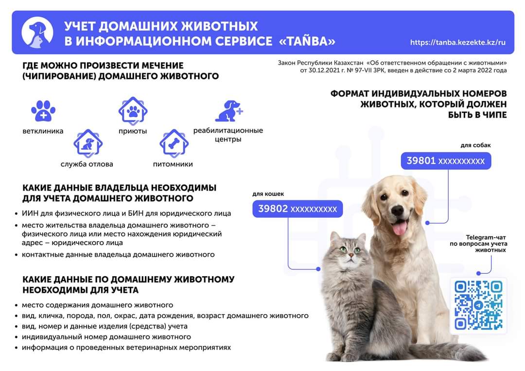 Обсуждены требования закона «Об ответственном обращении с животными» и подзаконных актов