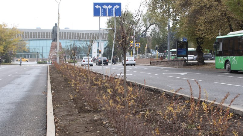 Начались работы по посадке зеленых насаждений вдоль разделительной полосы по проспекту Абая