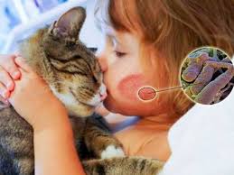 Юбкасының астына труси кимеген әйелдердің фотосуреттерін қараңыз