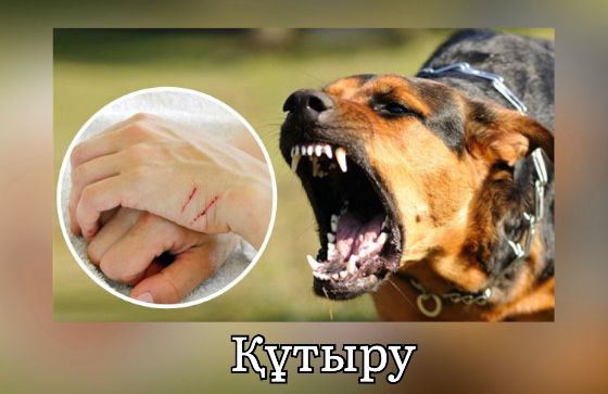 Гараждағы орысша порно видео Желіде аузына кірген