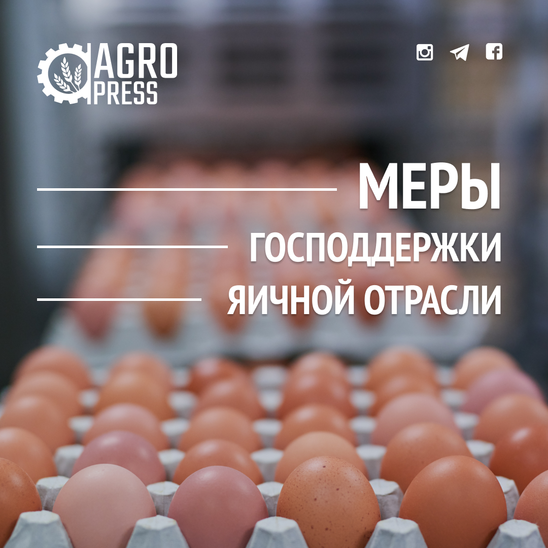 Меры господдержки яичной отрасли