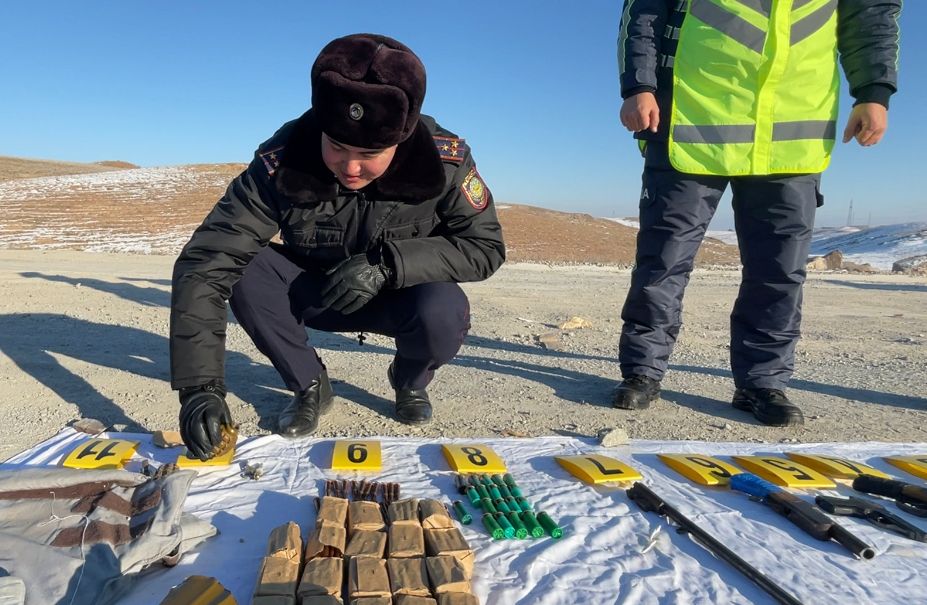 Олар бадамша бездерге дейін сорады