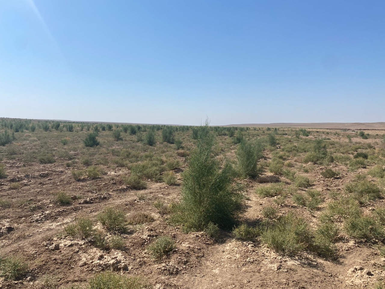 Джек Лоуренс порно онлайн