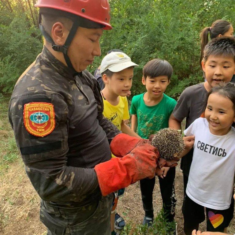 Порно немересі трамвай