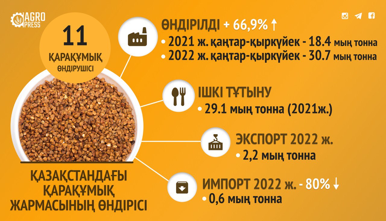 Қазақстан нарығы өз қарақұмығымен толық қамтамасыз етілген: өндіріс көлемі 67% - ға өсті