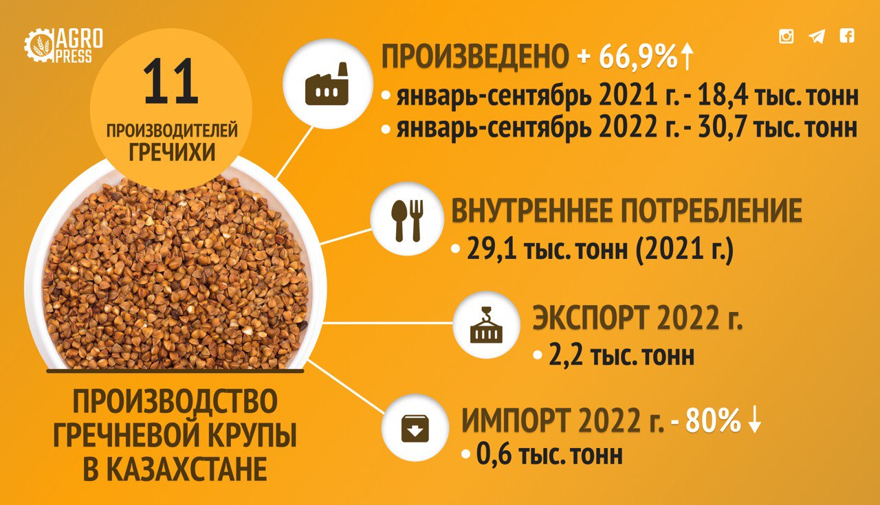 Рынок Казахстана полностью обеспечен собственной гречкой: объёмы производства выросли на 67%
