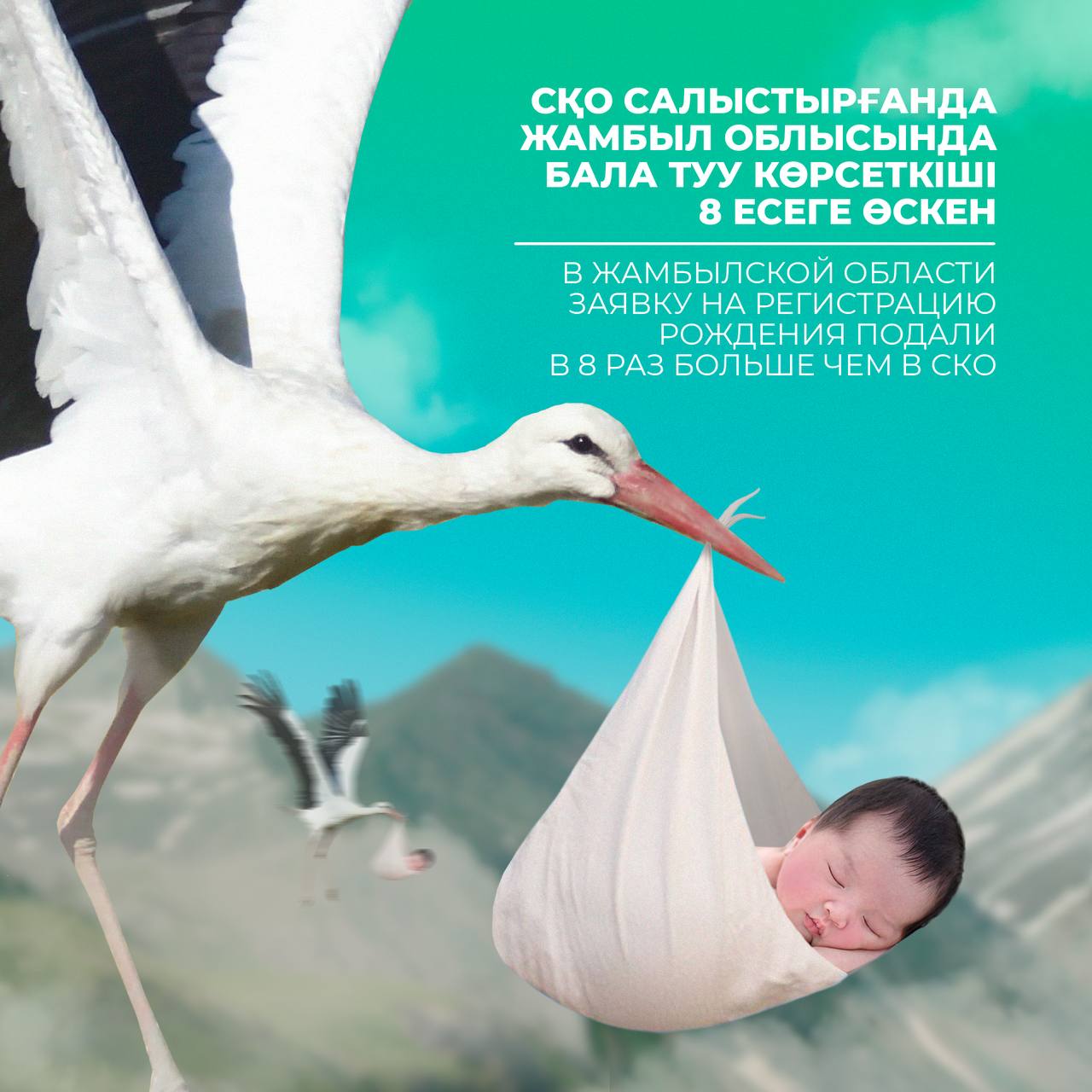 Порнодағы қара әйелдер