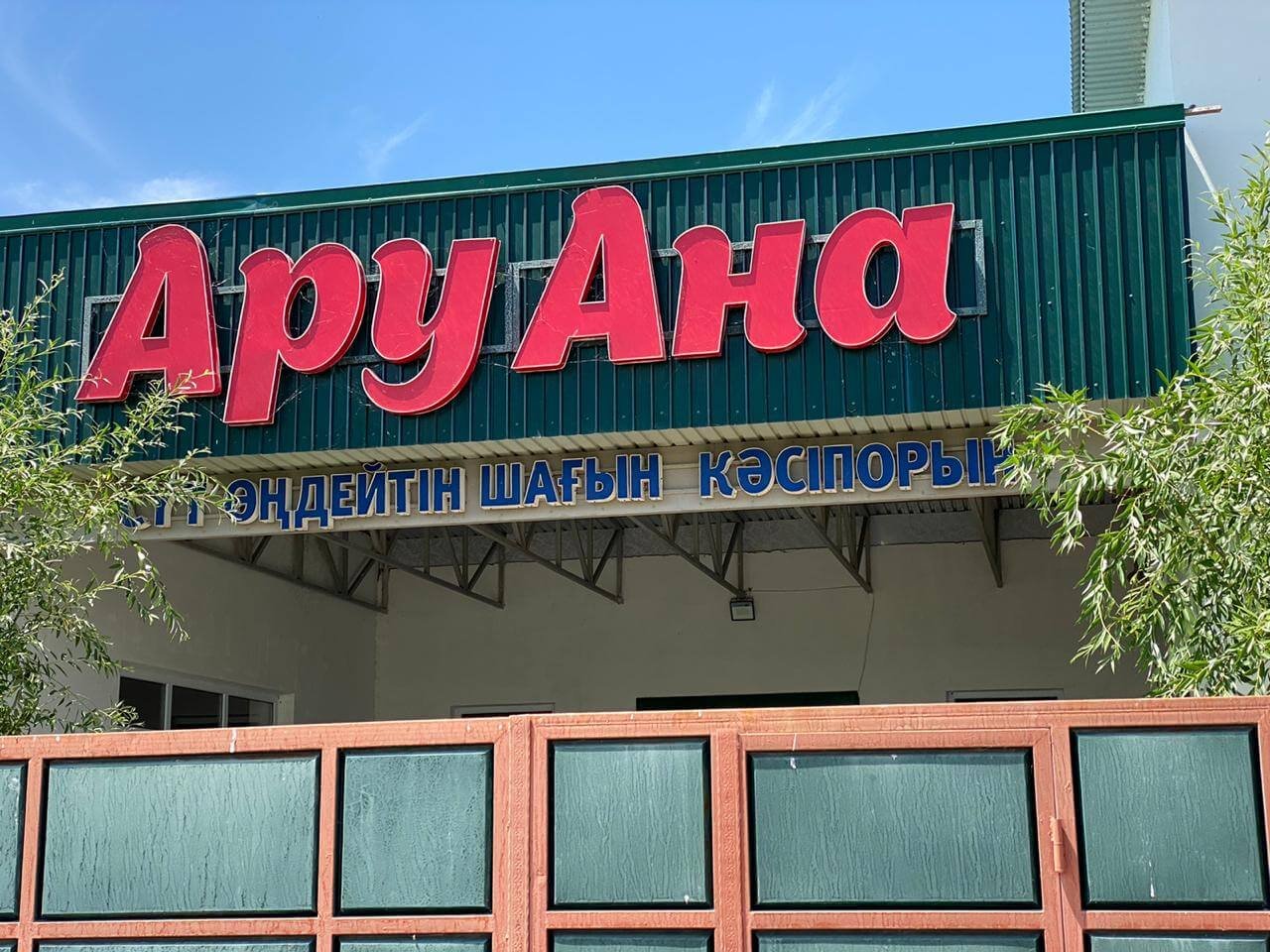 ШИПАЛЫ ШҰБАТ ШИЕЛІДЕ