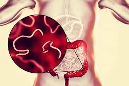 Ыстық қыздармен топтық секс порно