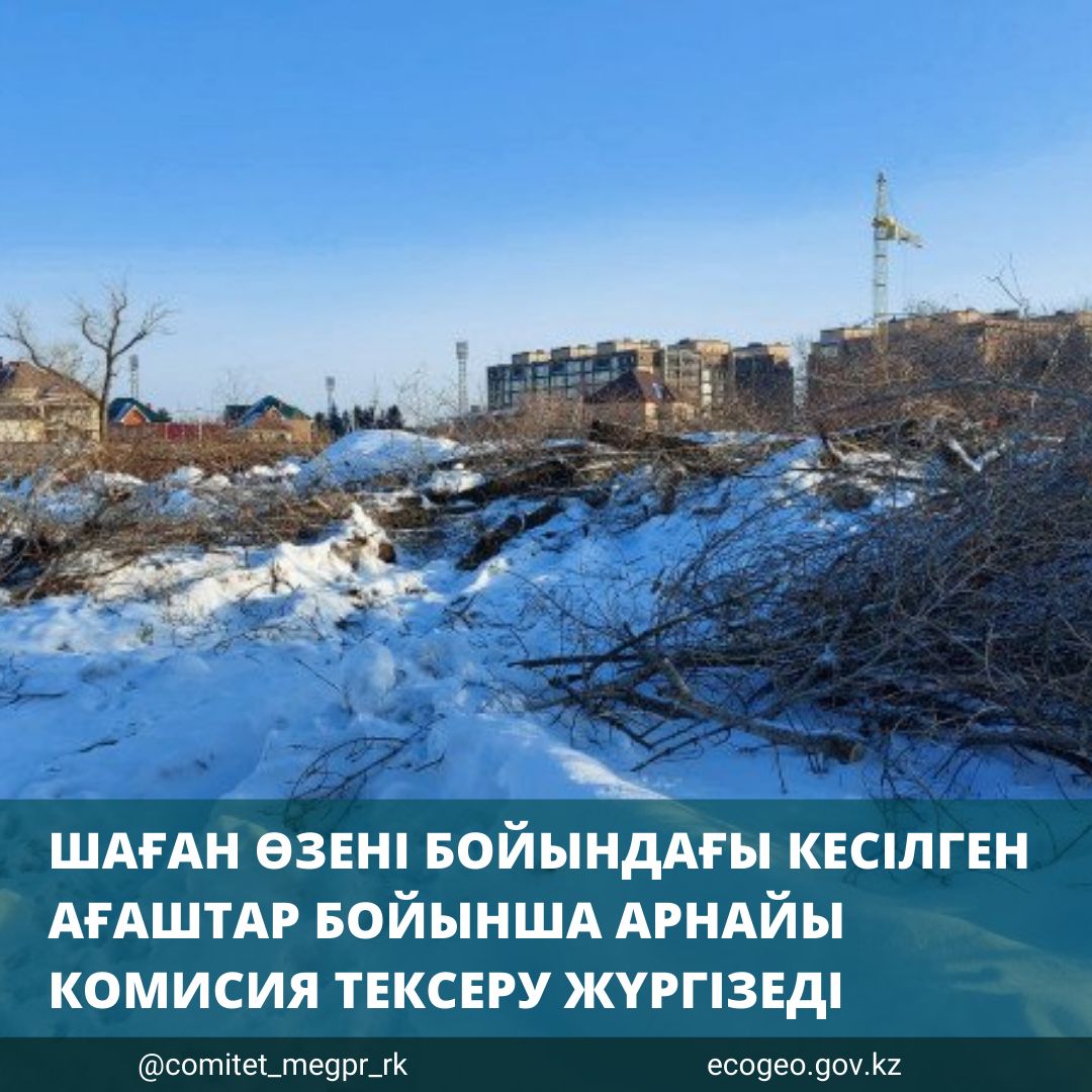 Эротикалық қыздың кеудесі