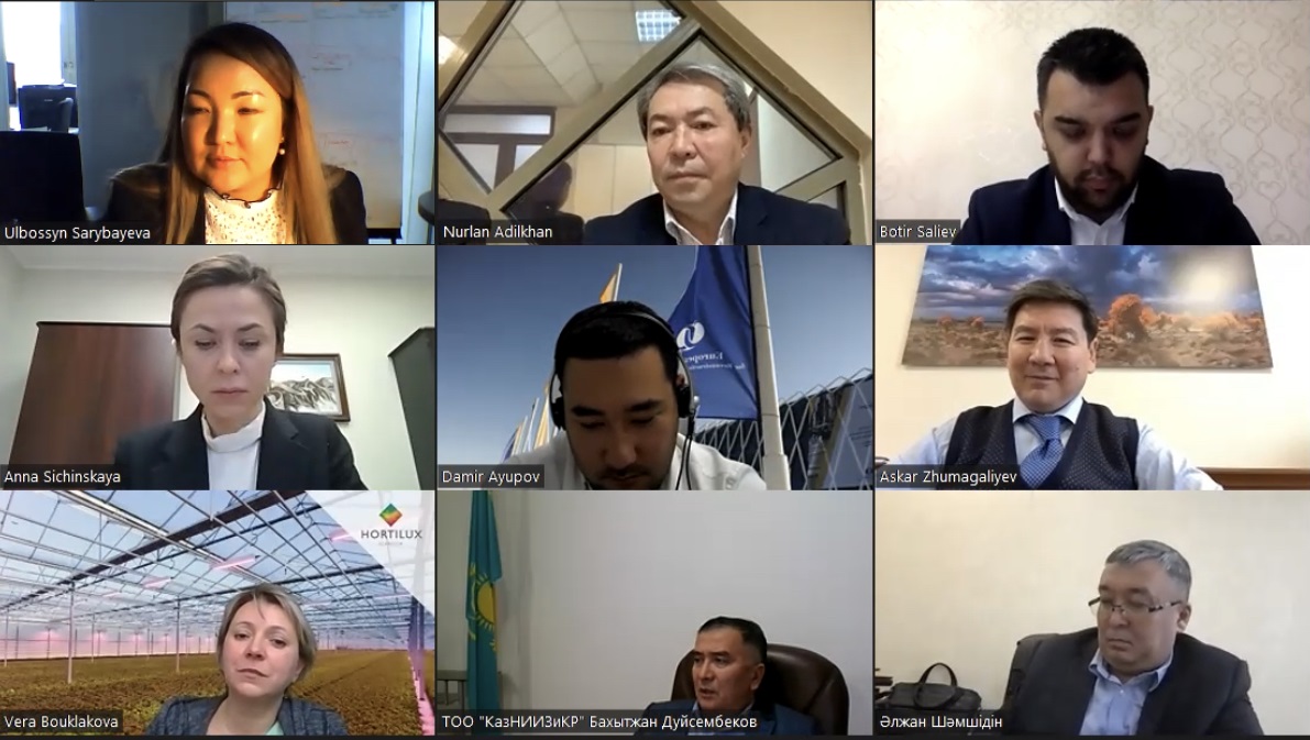 Ambassador of Kazakhstan launched a series of webinars from Dutch companies in the field of greenhouses