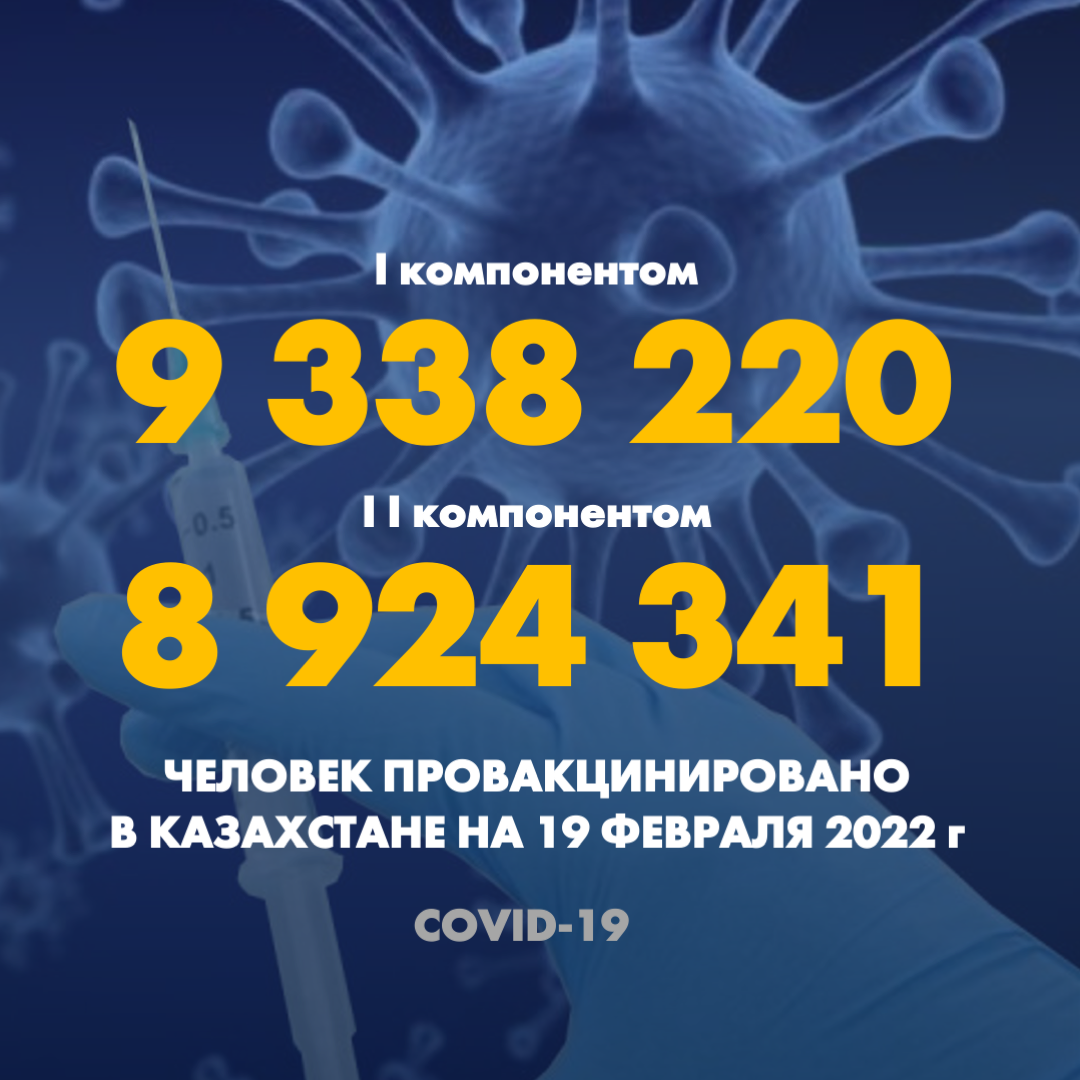 I компонентом 9 338 220 человек провакцинировано в Казахстане на 19 февраля 2022 г, II компонентом 8 924 341 человек.